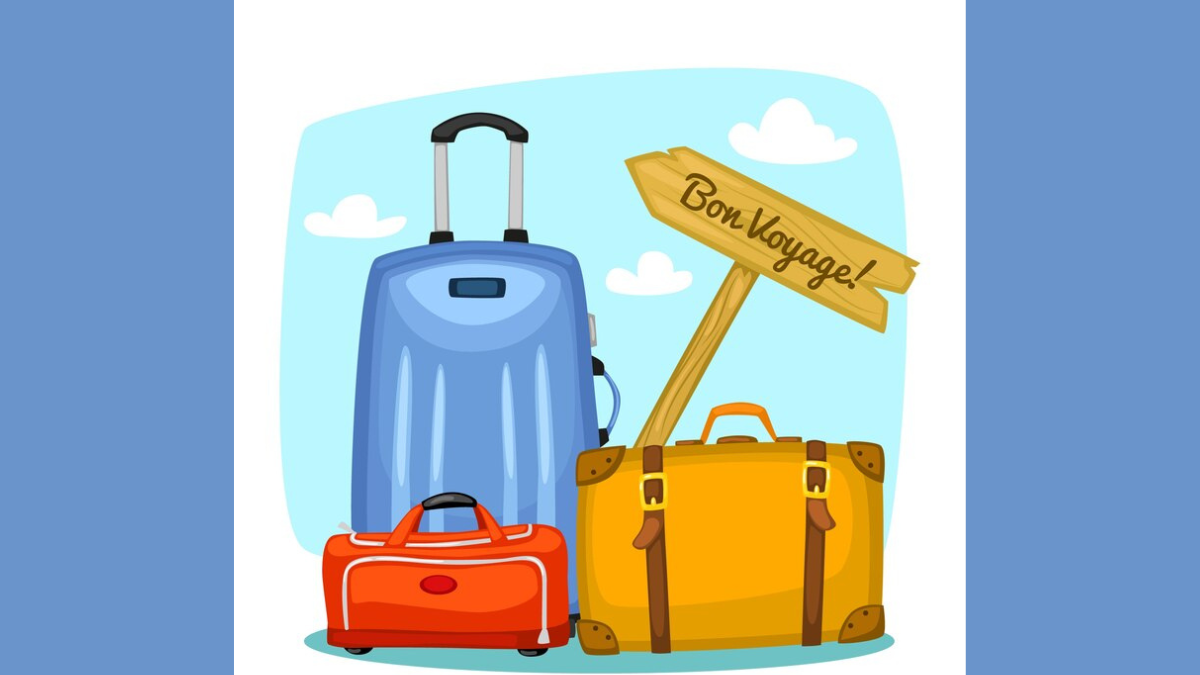 Branded luggage companies feel the squeeze as sales slow Brand Wagon