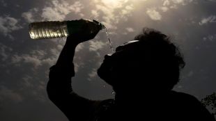Heatwave, Heatwave in India, Health Ministry, Mansukh Mandaviya, heatwave effect, healthcare news,