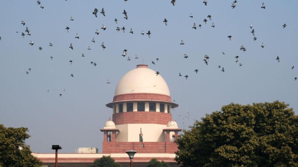 The latest plea highlights "rampant irregularities and fraudulent practices."
