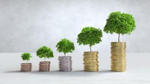 From PPF to NPS, top 5 investment options for salaried persons