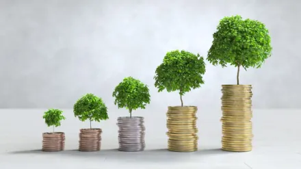 Sectoral funds offer niche investment options.