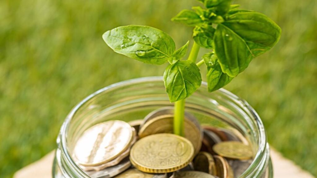Senior Citizen Fixed Deposits offering highest interest rates in September – Check latest FD rates