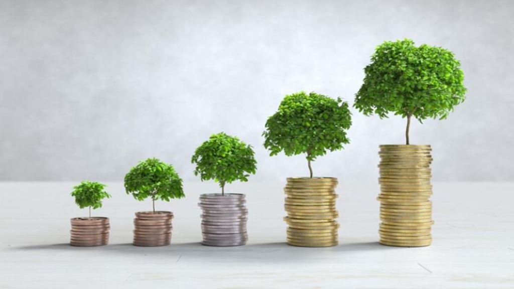 Invest in Company Fixed Deposits for higher returns – Check latest interest rates