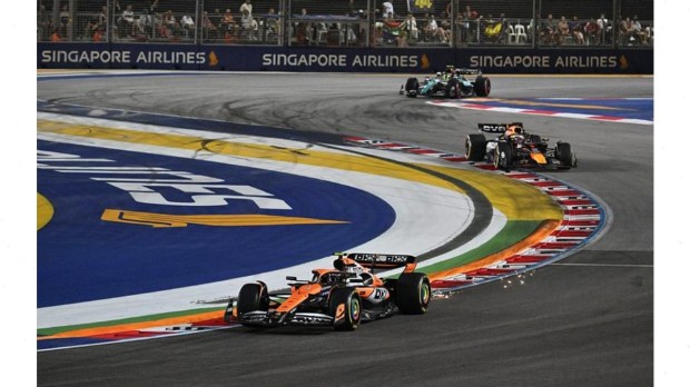 Lando Norris