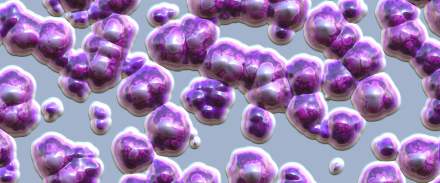 Fungal infection, pandemic, antibiotic resistance, health news, wellness news,