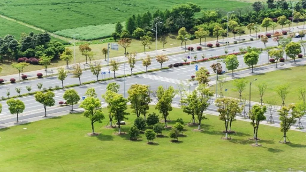 Rohtak and Bahadurgarh's Plot Price Boom: A golden opportunity for investors