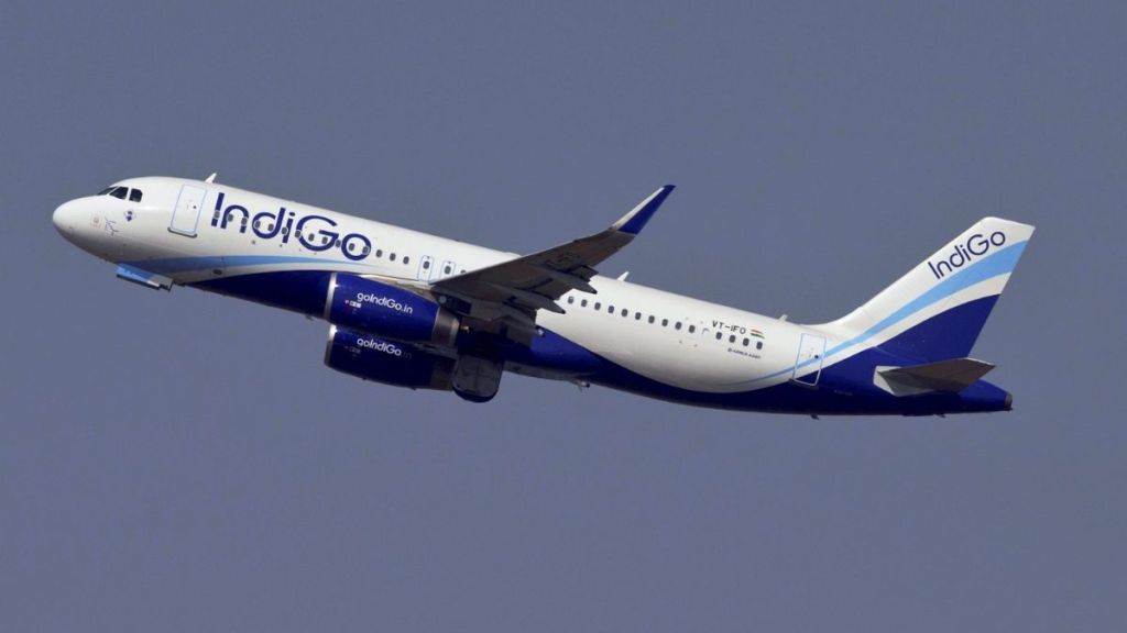 INDIGO
