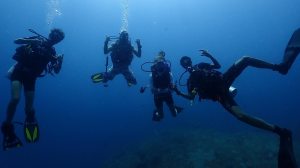 Exploring the Thrills: Adventure Tourism in India