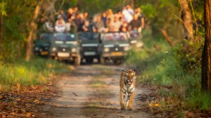 Exploring the Wild Side of Uttar Pradesh The Wild Side of Uttar Pradesh