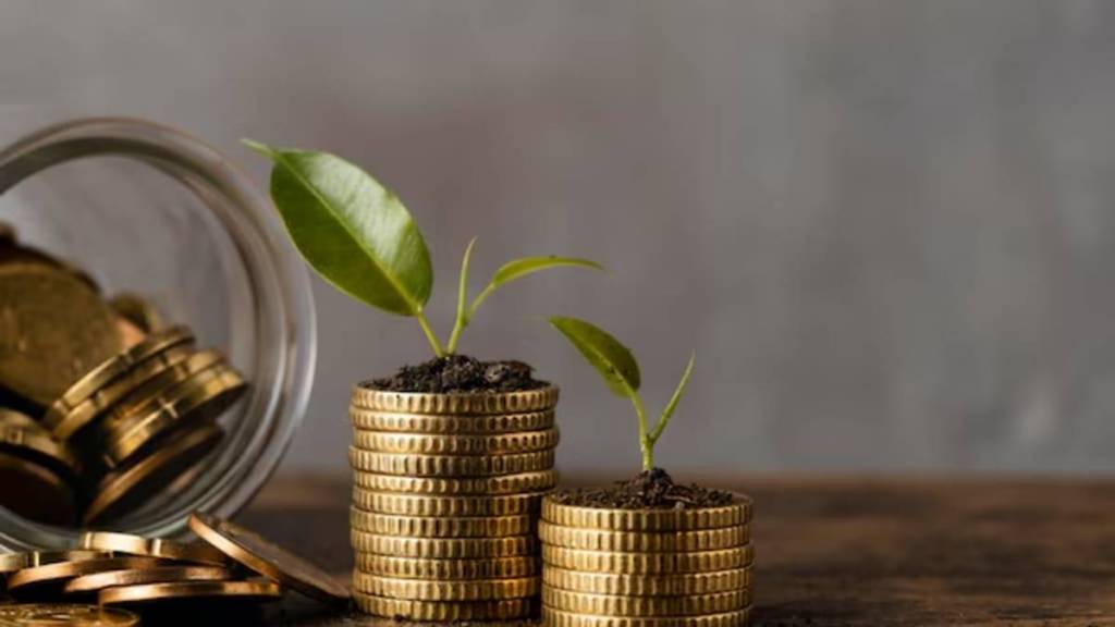 Asset Management Companies