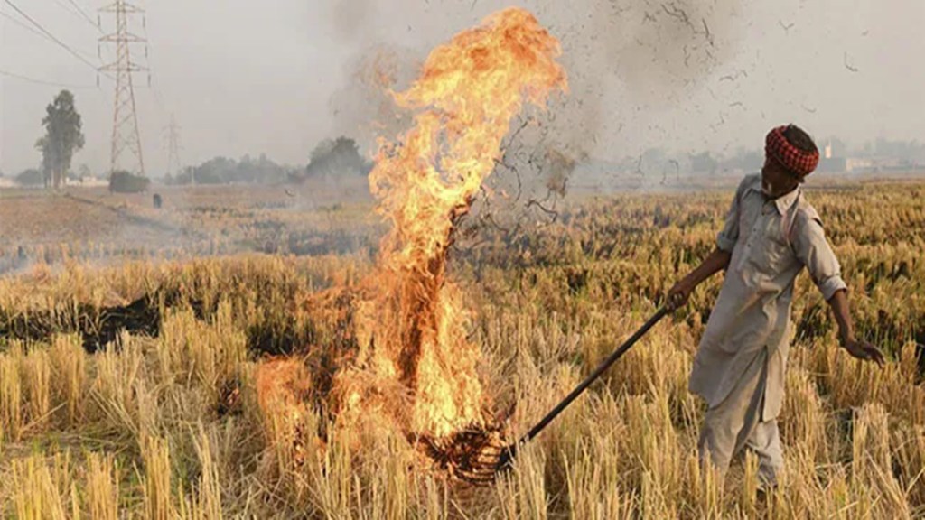 Punjab sees season's highest farm fire cases even as air quality worsens in Delhi
