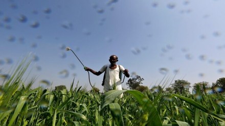 complex fertiliser, operating profitability, raw material prices, subsidy, retail sales price, government intervention, ammonia prices