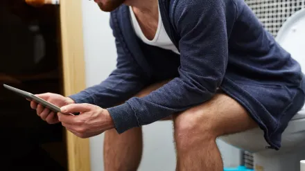 hemorrhoids, hemorrhoids causes, hemorrhoids side effects, hemorrhoids treatment, hemorrhoids diagnosis, toilet usage, toilet risks, health news, wellness news,