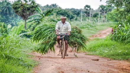 Over 1,700 agri startups supported with Rs 122 crore: Govt