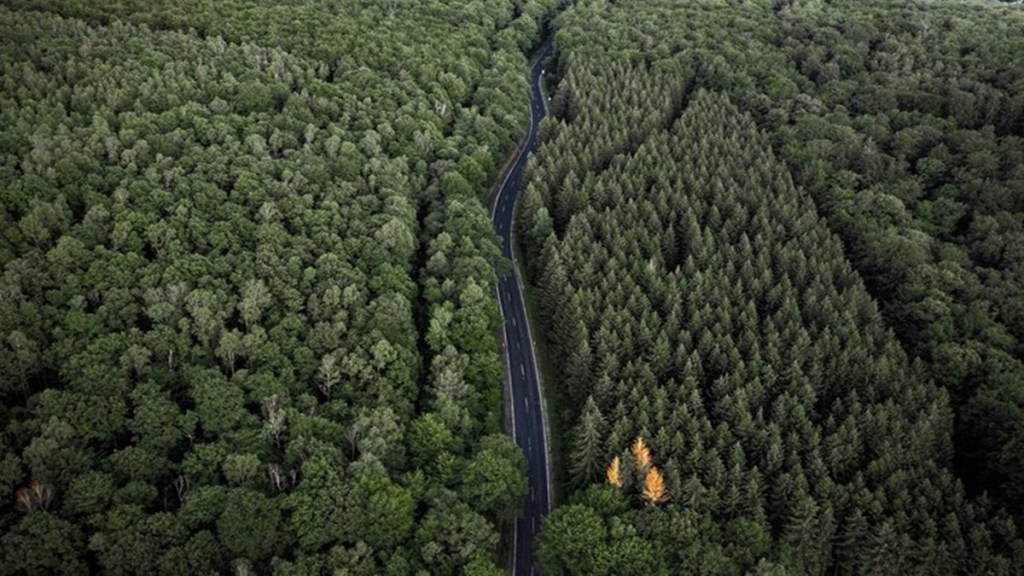Western Ghats, India State of Forest Report, Global Forest Watch, India’s national forest policy