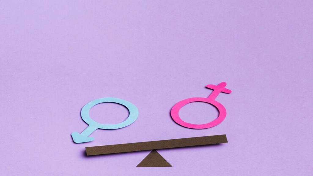 Gender gaps, microfinance, FLFPR, female labour force participation rate, economy, women, men