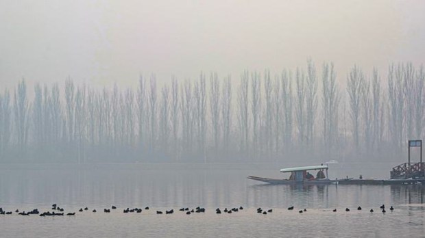 A shikara rests along the icy shores of Dal Lake on a frigid winter morning in Srinagar, Saturday, December 21, 2024. The onset of Chillai Kalan, Kashmir's 40-day period of the harshest winter, began with a chilling record as Srinagar recorded its coldest December night in 50 years, plunging to a bone-numbing minus 8.5 degrees Celsius, according to the meteorological department. (Photo: PTI)