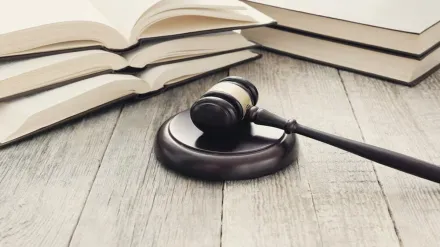 Anna University survivor's details leaked: Court demands Rs 25 lakh compensation from state, criticises police commissioner - Here’s what happened