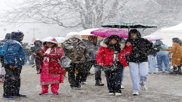 Amidst a picturesque blanket of fresh snowfall, visitors enjoy a serene walk through Shimla on Monday, December 23, 2024. The winter wonderland atmosphere enchants tourists, adding charm to the hill station's scenic beauty. (Photo: PTI)