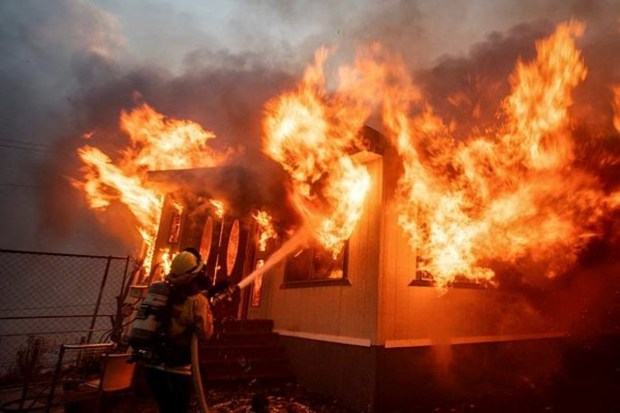 A firefighter fights the Palisades Fire as it blazes during a windstorm on the west side of Los Angeles, California, on January 7, 2025. (Image Source: Reuters)
