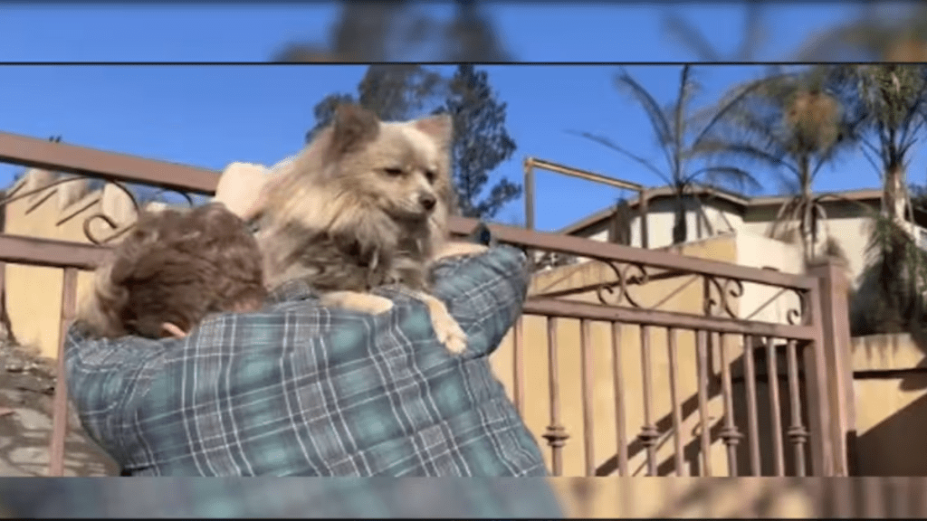 California man reunites with dog Oreo