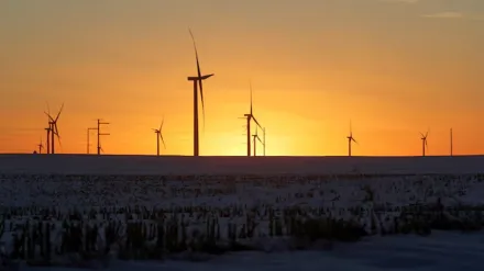 Adani Group, Adani Green Energy, Gautam Adani, Sri Lanka, wind power project, deal