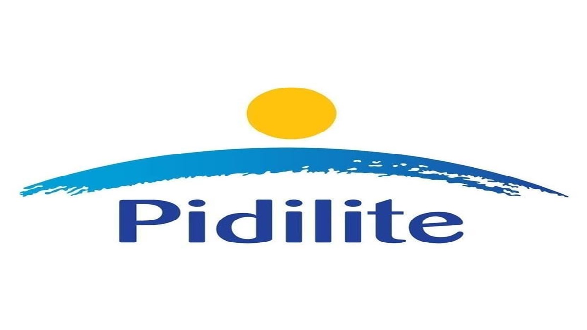Pidilite adds more colour to its paints venture Industry News The