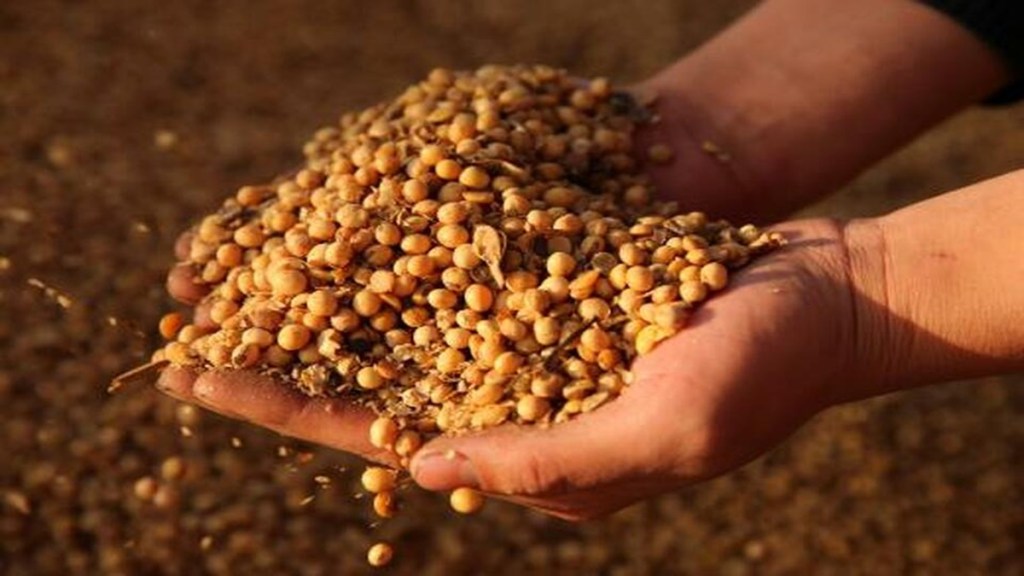 Soyabean, NCCF, MSP, kharif season, mandi price, economy, price stabilisation fund