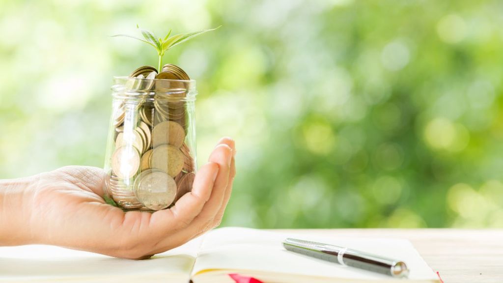 s naren, vineet bhatia, sip, mutual fund, radhika gupta, sharktank,