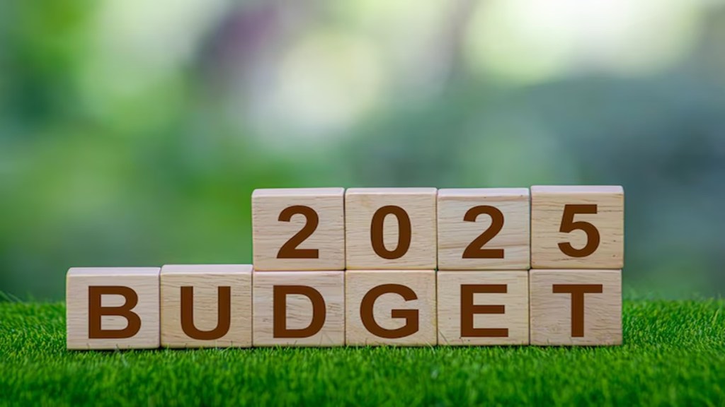 budget, gdp, budget 2025, economy, gross domestic product, sitharaman