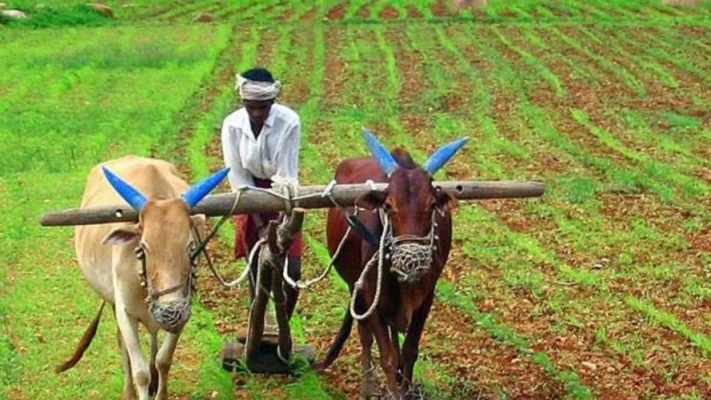 PM Kisan Samman Nidhi Scheme highlights: PM-KISAN scheme provides Rs 6,000 annually to landholding farmer families