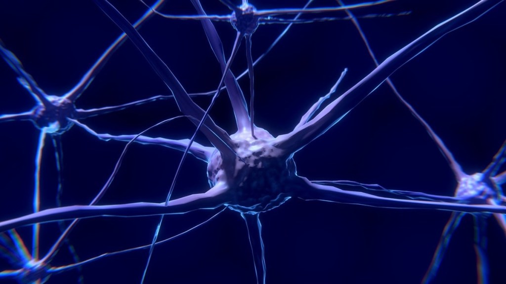 Encephalitis, encephalitis symptoms, encephalitis lethargica, encephalitis vs meningitis, encephalitis treatment, encephalitis causes, Japanese encephalitis, autoimmune encephalitis, Japanese encephalitis vaccine, viral encephalitis, eastern equine encephalitis, encephalitis and COVID, encephalitis after COVID, encephalitis autoimmune, encephalitis and encephalomyelitis, encephalitis and meningitis, encephalitis awakenings, encephalitis and autism, encephalitis alcohol, encephalitis after flu, encephalitis and dementia, anti-NMDA receptor encephalitis, autoimmune encephalitis symptoms, acute encephalitis syndrome, autoimmune encephalitis treatment, acute encephalitis, anti-NMDA receptor encephalitis symptoms, autoimmune encephalitis panel, amoebic encephalitis, autoimmune encephalitis ICD-10, encephalitis baby, encephalitis blood test, encephalitis brain damage, encephalitis brain, encephalitis brain on fire, encephalitis breakdown, encephalitis baby head, encephalitis B vaccine, encephalitis bacteria, Bickerstaff encephalitis, brain encephalitis, basal ganglia encephalitis, Bickerstaff encephalitis triad, basal ganglia encephalitis symptoms, Bickerstaff encephalitis radiology, Balamuthia encephalitis, Bickerstaff encephalitis treatment, Bali Japanese encephalitis, encephalitis COVID, encephalitis caused by COVID, encephalitis clock, encephalitis contagious, encephalitis cure, encephalitis CT scan, encephalitis causes in adults, encephalitis child, encephalitis cats, Chandipura virus encephalitis, causes of encephalitis, CMV encephalitis, COVID encephalitis, caprine arthritis encephalitis, can encephalitis be cured, can herpes encephalitis be cured, cerebritis vs encephalitis, complications of encephalitis, chronic focal encephalitis, encephalitis definition, encephalitis diagnosis, encephalitis dog, encephalitis disease, encephalitis death rate, encephalitis def, encephalitis Dr. Sayer, encephalitis diagnostic test, encephalitis definition medical, encephalitis dementia, dengue encephalitis, define encephalitis, difference between meningitis and encephalitis, dengue encephalitis radiology, dengue encephalitis treatment, do I need Japanese encephalitis vaccine, diabetes encephalitis, does encephalitis go away, difference between encephalitis and encephalopathy, DPPX encephalitis, encephalitis epidemic, encephalitis etymology, encephalitis eye symptoms, encephalitis etiology, encephalitis eyes, encephalitis encephalopathy, encephalitis esophagus, encephalitis EEG, encephalitis equine, encephalitis epilepsy, eastern equine encephalitis EEE virus, eastern equine encephalitis death, eastern equine encephalitis symptoms, health news, wellness news,