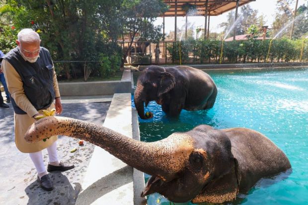 On his page, the PM also shared his experience of meeting an elephant who was a victim of an acid attack. These hydrotherapy pools serve as a recovery support for these elephants with arthritis and aiding foot recovery. (Image: PTI)