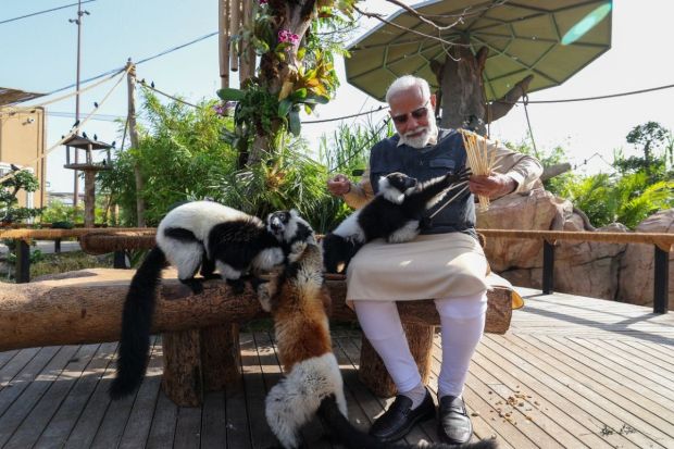 Sharing an adorable moment with orangutans and chimpanzees, the animals lovingly hugged the PM playing with him with joy. (Image: PTI)