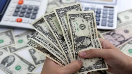 irs, stimulus check, covid-19 pandemic, Recovery Rebate Credit, us taxpayers, tax returns, income tax, income tax returns, Internal Revenue Service, stimulus check,