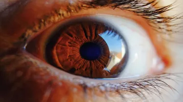 Cipla signs multi-regional licensing deal with Formosa for eye disorder