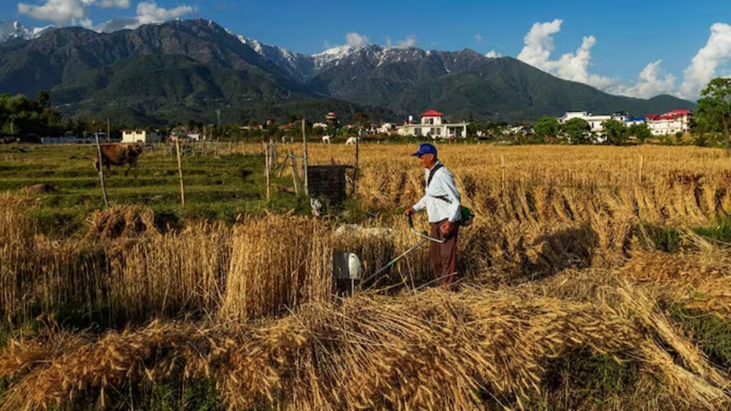 India targets nationwide digital crop surveys (DCS) by 2025-26 Kharif season. (Image Source: PTI)