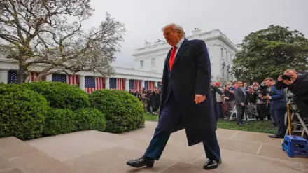 Trump Tariff impact