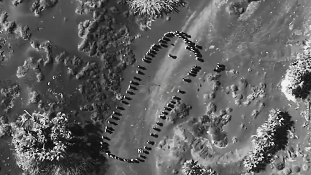 Trump video on Houthi strike