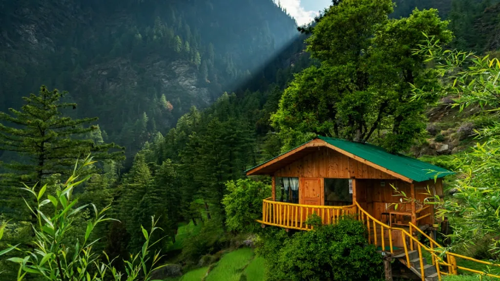 Bir, Jibhi, Sirmaur, Tirthan Valley, Kazakhstan, Osaka, Manali, Nainital, New York, Thailand