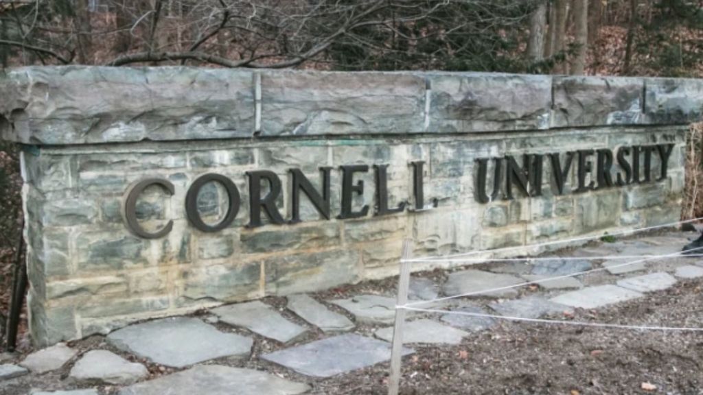 Momodou Taal - Cornell Student visa revoked.