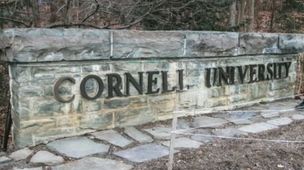 Momodou Taal - Cornell Student visa revoked.