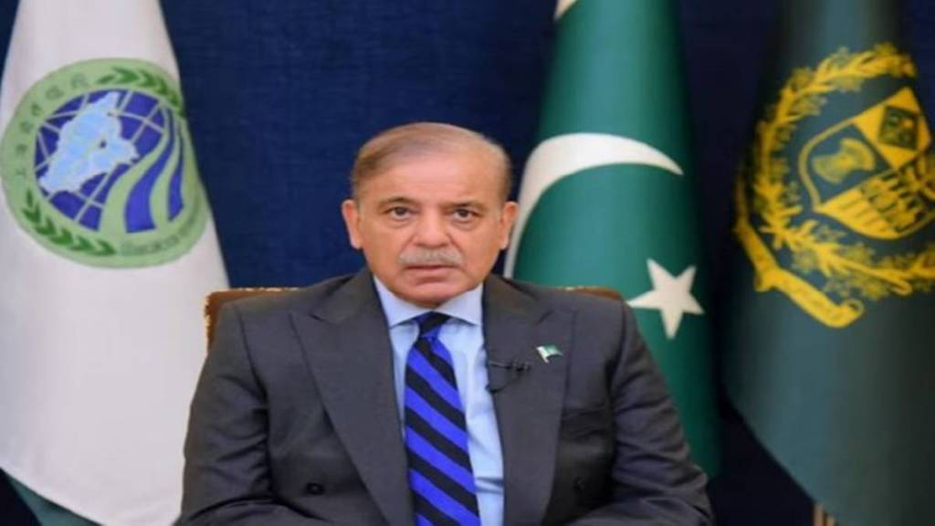 Pakistan PM Shehbaz Sharif confirms Indian missile strike