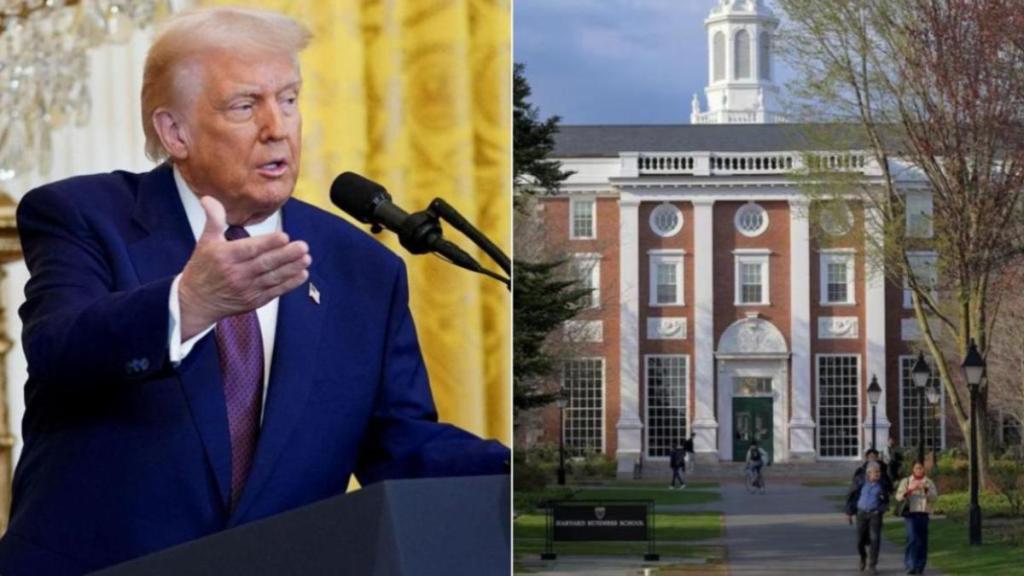 MAGA supporters claimed the decision as "great move"