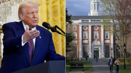 MAGA supporters claimed the decision as "great move"