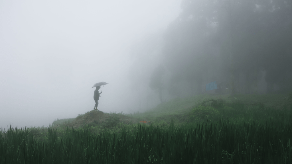 monsoon, kerala, IMD, weather, India, India Meteorological Department