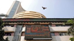 Markets muted but Nifty holds 25,000; Auto, BEL see sharp gains