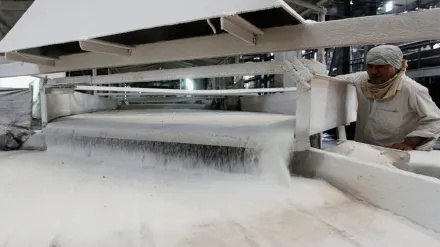 sugar, economy, Indian Sugar and Bio-Energy Manufacturers Association, ISMA