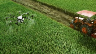 The report, "Nourishing the Future: A Report on Climate-Resilient Agriculture," advocates for urgent policy action. (Image Source: Pixabay)