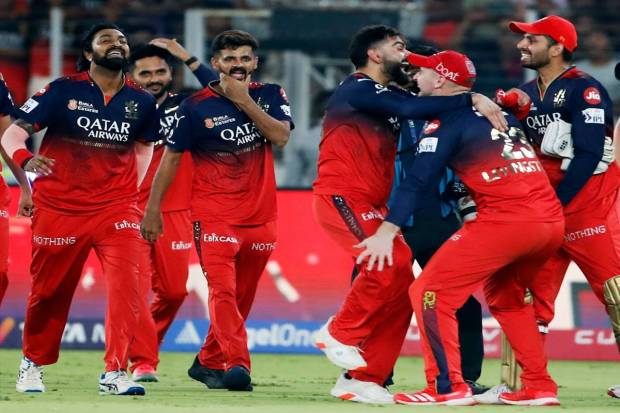 Royal Challengers Bengaluru's players celebrate after winning the Indian Premier League 2025 final match against Punjab Kings. (Photo source: ANI)
